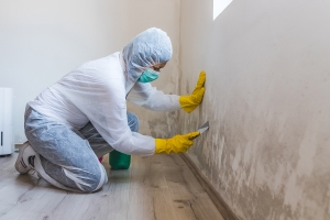 IN MIAMI, FLORIDA, MOLD TESTING SERVICES IN MIAMI, FLORIDA, MOLD TESTING SERVICES